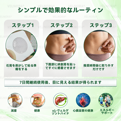 【お腹の脂肪・ポッコリ対策に】🎉🎁𝐕𝐄𝐋𝐍𝐎𝐑𝐀® モリンガ＆ベルベリン 10-IN-1 高機能ナノマイクロニードルパッチ（1日1回、7日で変化を実感） 肥満・糖尿病・睡眠時無呼吸症候群・関節の悩み向け