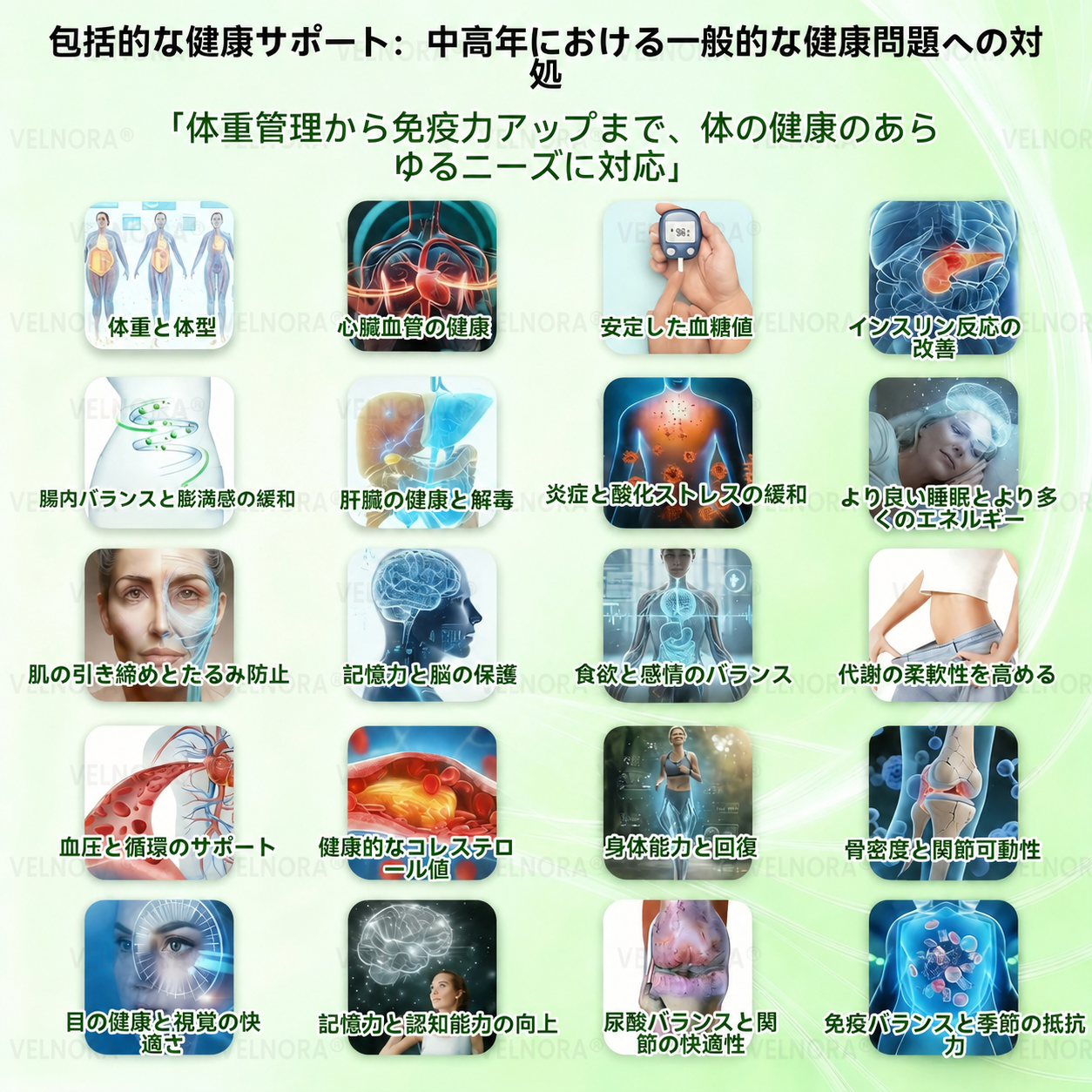 🎉✅【お腹の脂肪・ポッコリ対策に】𝐕𝐄𝐋𝐍𝐎𝐑𝐀® モリンガ＆ベルベリン 10-IN-1 高機能ナノマイクロニードルパッチ（1日1回、7日で変化を実感） 肥満・糖尿病・睡眠時無呼吸症候群・関節の悩み向け