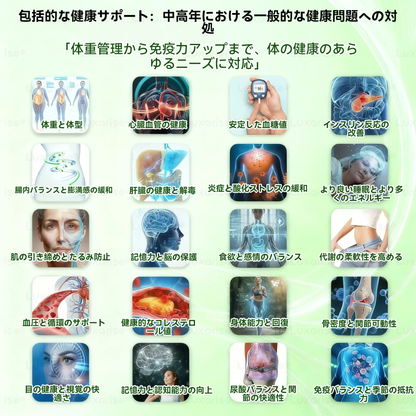 【お腹の脂肪・ポッコリ対策に】🎉🎁𝐕𝐄𝐋𝐍𝐎𝐑𝐀® モリンガ＆ベルベリン 10-IN-1 高機能ナノマイクロニードルパッチ（1日1回、7日で変化を実感） 肥満・糖尿病・睡眠時無呼吸症候群・関節の悩み向け